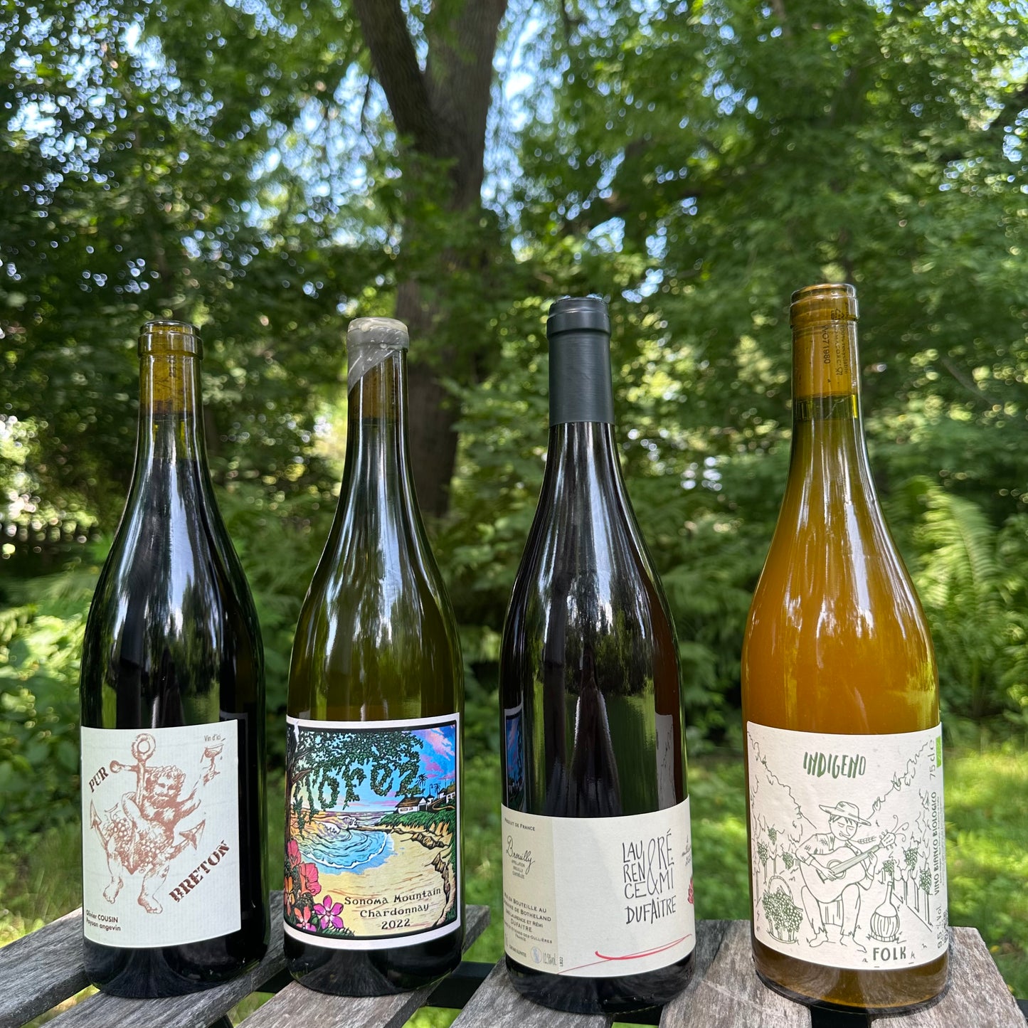 Total Renée Wine Club