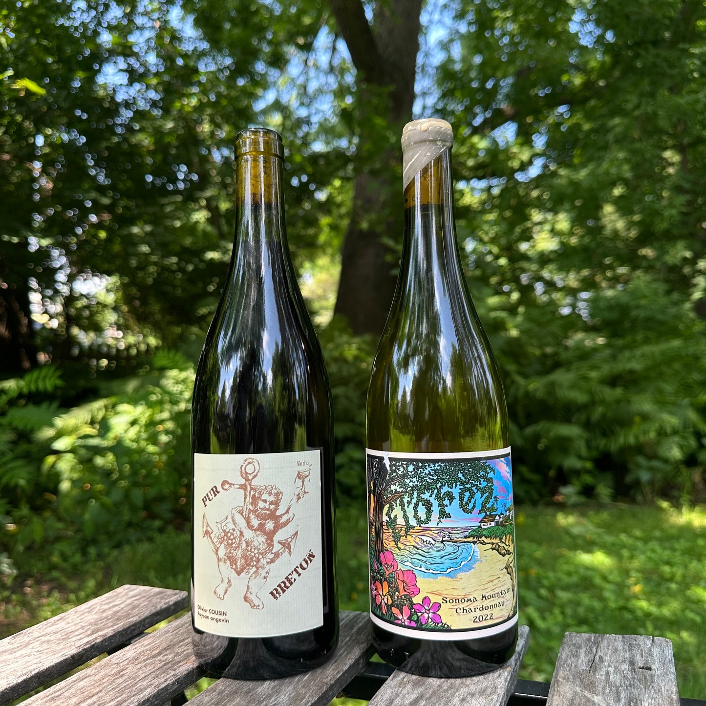 Super Renée Wine Club